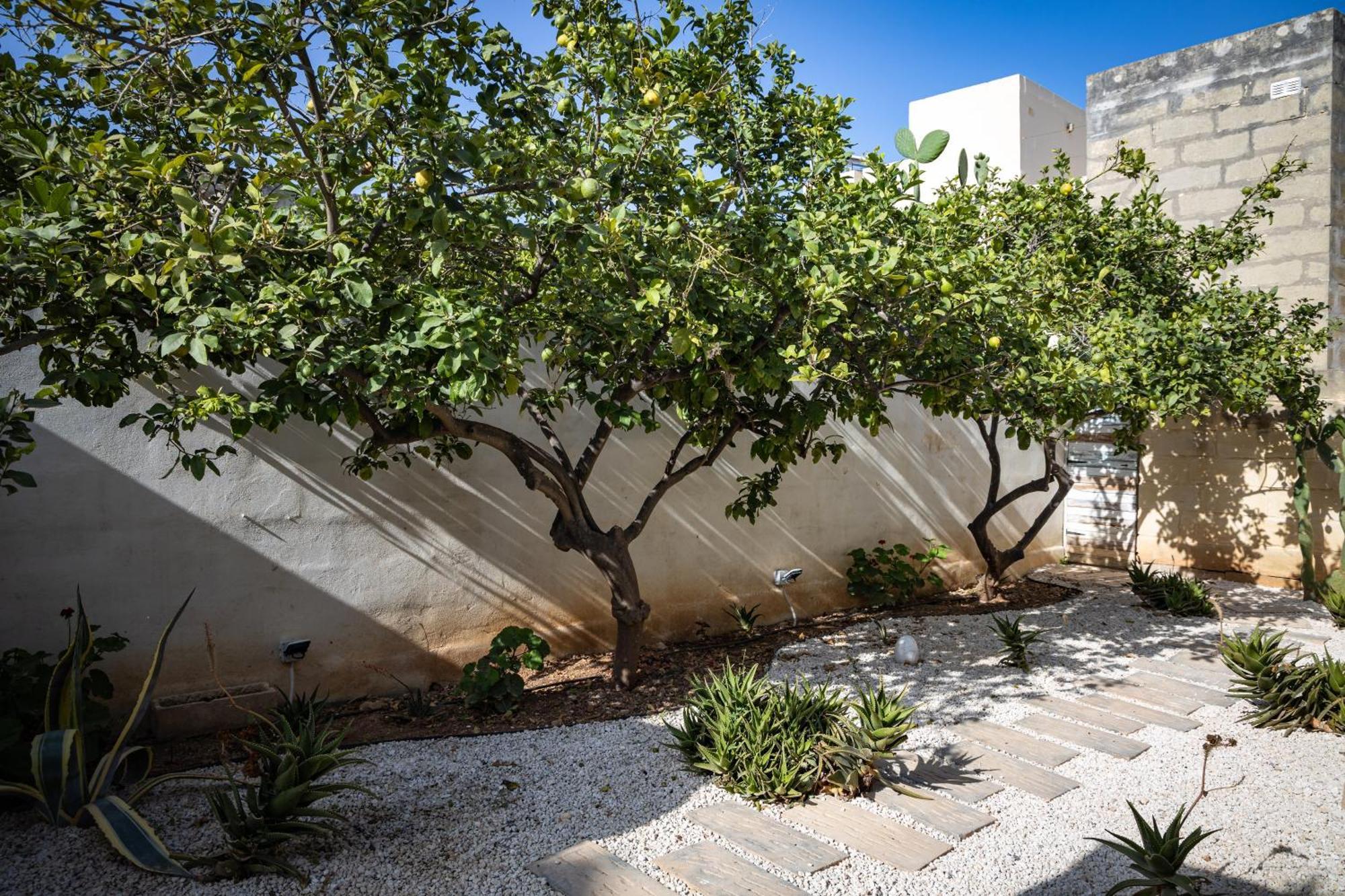 Lemon Tree Relais By Cx Collection Hotel Zabbar Bagian luar foto